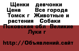 Щенки - девчонки › Цена ­ 2 - Все города, Томск г. Животные и растения » Собаки   . Псковская обл.,Великие Луки г.